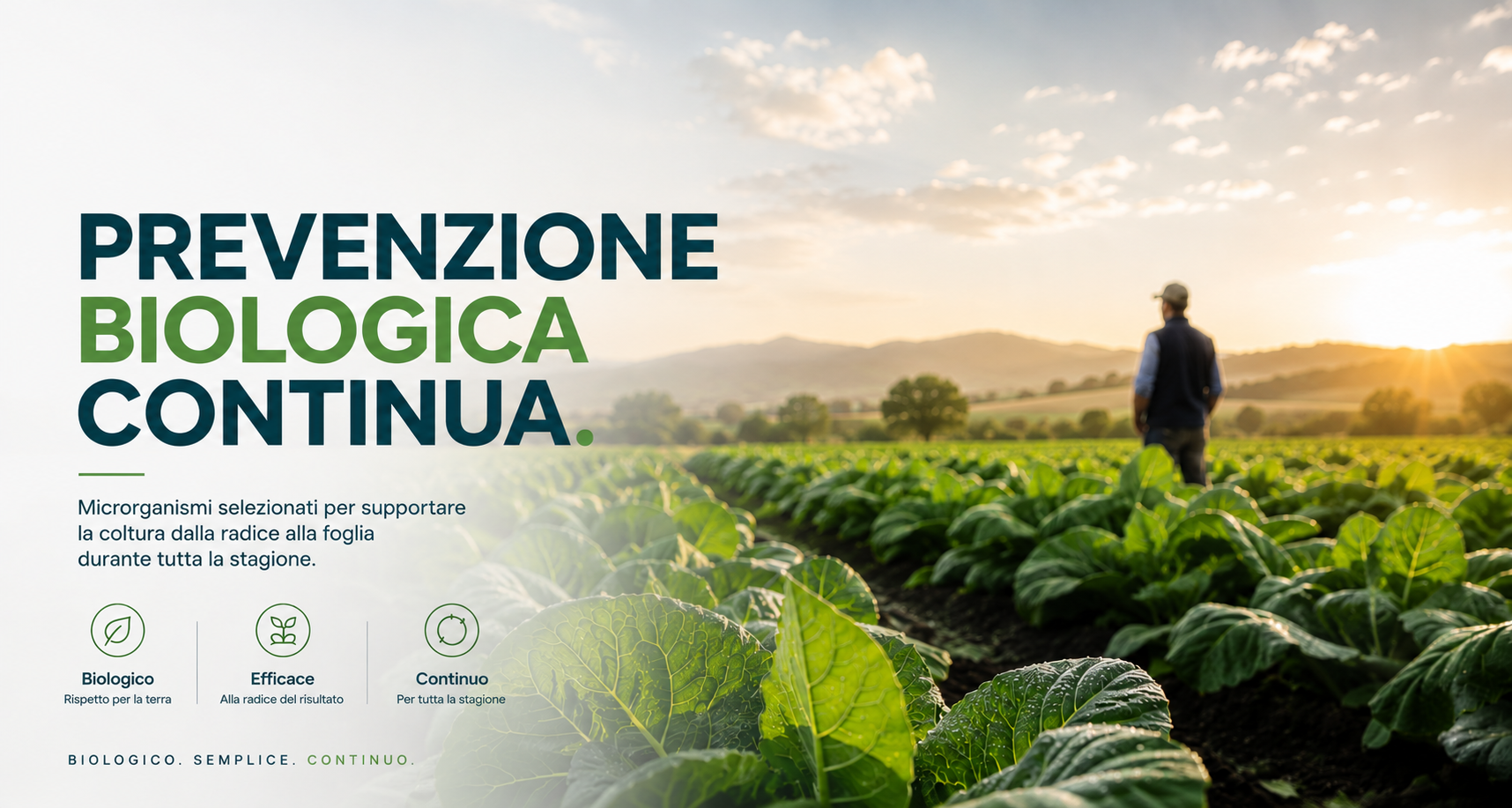 Metodo SVT: prevenzione per colture più stabili e vigorose