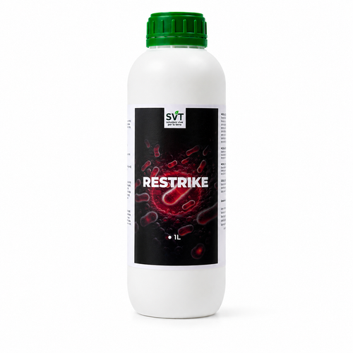 RESTRIKE